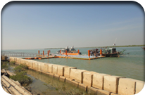 Fish Harbor - Jati Tar