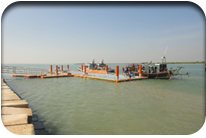 Fish Harbor - Jati Tar