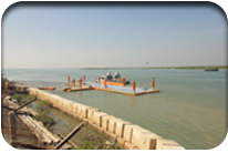 Fish Harbor - Jati Tar