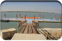 Fish Harbor - Jati Tar