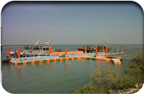 Fish Harbor - Jati Tar