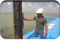 Fish Harbor - Jati Tar