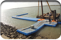 Fish Harbor - Jati Tar