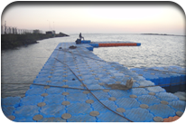 Fish Harbor - Jati Tar