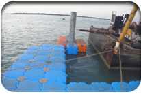 Fish Harbor - Jati Tar