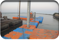 Fish Harbor - Jati Tar