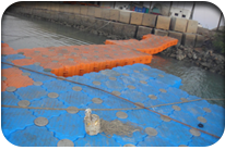 Fish Harbor - Jati Tar