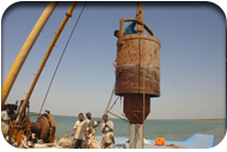 Fish Harbor - Jati Tar