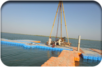 Fish Harbor - Jati Tar