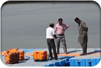 Fish Harbor - Jati Tar