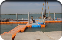 Fish Harbor - Jati Tar