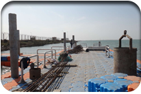 Fish Harbor - Jati Tar