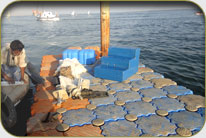 Airmen Golf Course - PAF