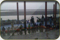 Fish Harbor - Darya Peer