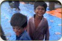 Fish Harbor - Darya Peer