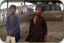 Fish Harbor - Darya Peer