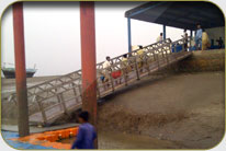 Fish Harbor - Darya Peer