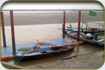 Fish Harbor - Darya Peer