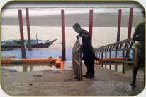 Fish Harbor - Darya Peer