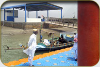 Fish Harbor - Darya Peer