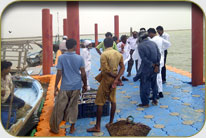 Fish Harbor - Darya Peer