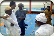 Fish Harbor - Darya Peer