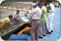 Fish Harbor - Darya Peer