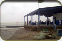 Fish Harbor - Darya Peer