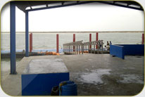 Fish Harbor - Darya Peer