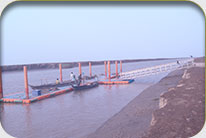 Fish Harbor - Jati Tar