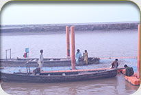 Fish Harbor - Jati Tar