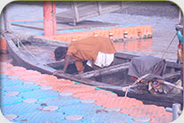 Fish Harbor - Jati Tar