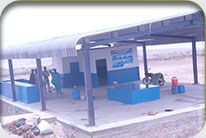 Fish Harbor - Jati Tar