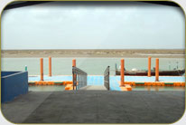 Fish Harbor - Jhor Malok Shah