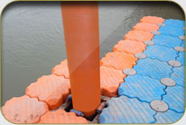 Fish Harbor - Jhor Malok Shah