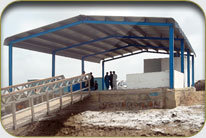 Fish Harbor - Jhor Malok Shah