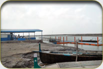 Fish Harbor - Jhor Malok Shah