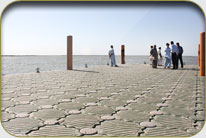 Fish Harbor - Sholani Goth