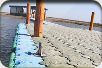 Fish Harbor - Sholani Goth