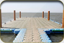 Fish Harbor - Sholani Goth