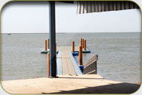 Fish Harbor - Sholani Goth