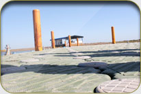 Fish Harbor - Sholani Goth