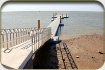 Fish Harbor - Sholani Goth