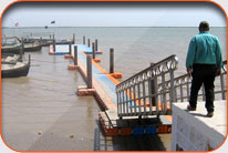 Fish Harbor - Kharo Chan