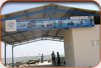 Fish Harbor - Kharo Chan